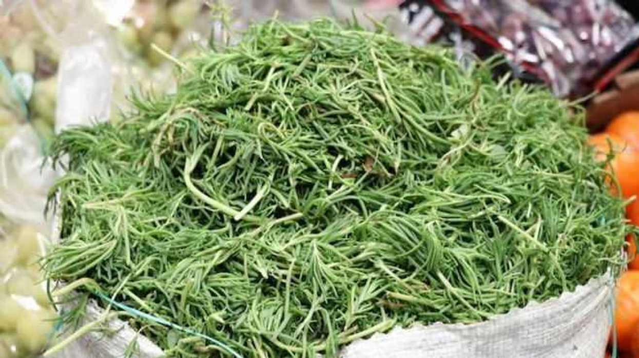 familias-cenaran-romeritos-para-despedir-2018-en-san-juan-del-rio