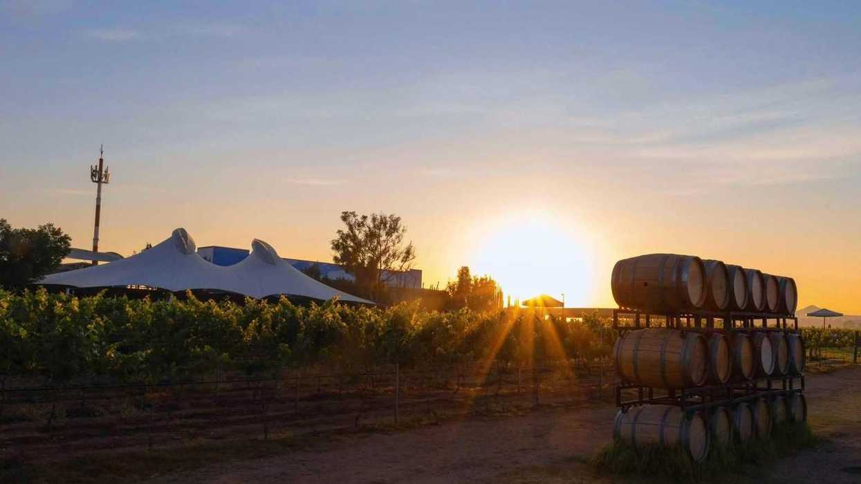 Familias sin empleo por cierre de Viñedos La Redonda en Ezequiel Montes Querétaro que lleva más de mes y medio sin operaciones