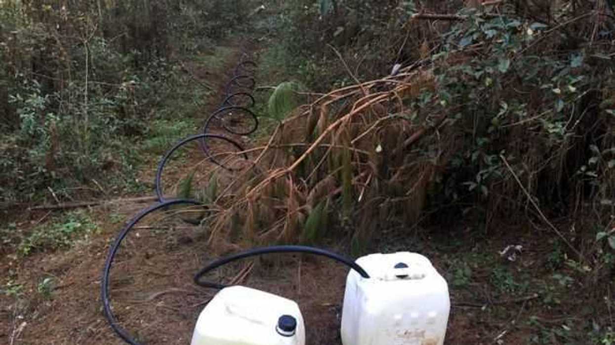 federales-aseguran-toma-clandestina-para-huachicoleo-en-puebla