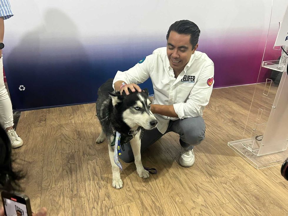 Felifer Macías enlista acciones en favor de erradicar maltrato animal.