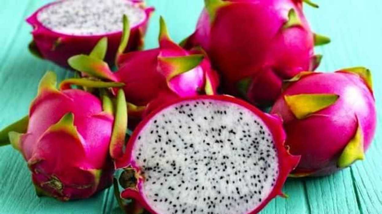 feria-de-la-pitaya-en-jalisco