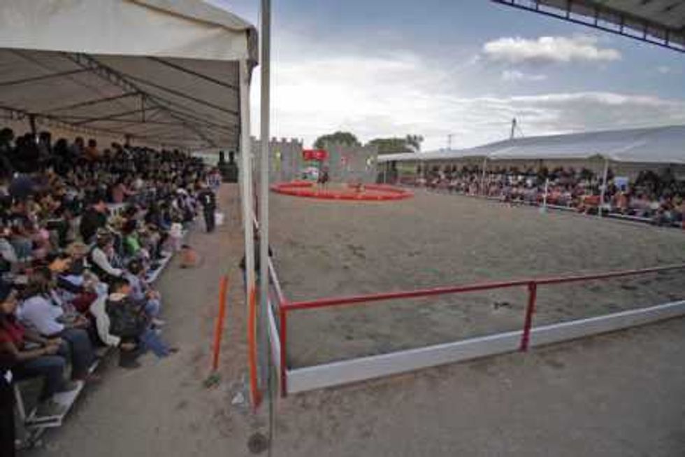 feria-san-juan-2016-clausura-7