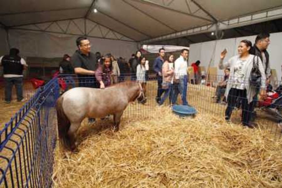 feria-san-juan-2016-clausura-8