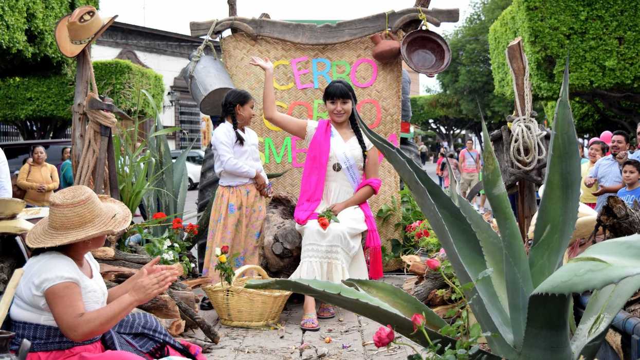 Feria San Juan 2024 anuncia convocatoria para el Certamen "Flor más Bella del Campo".