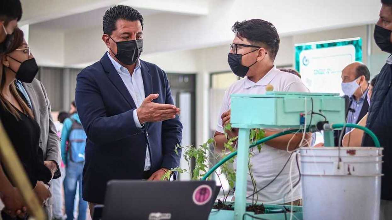 fernando-fesrrusca-ortiz