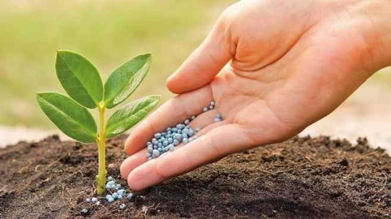 fertilizantes-fosforo-biodiversidad-la