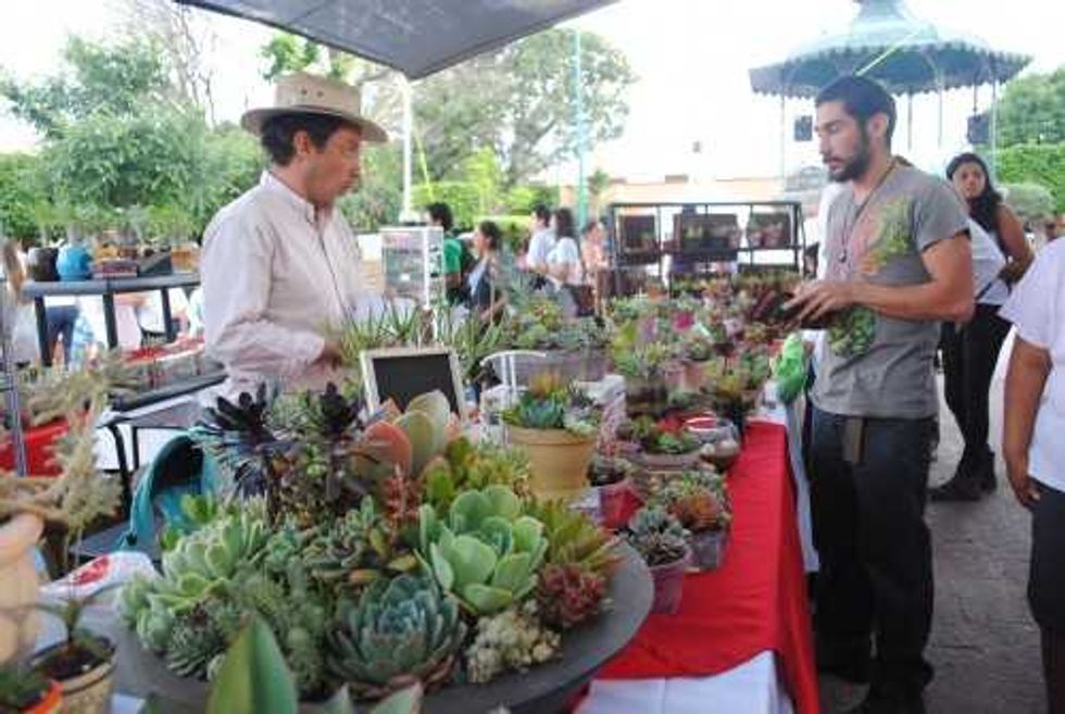 Festival Cultural y Gastronómico de las Cactáceas.