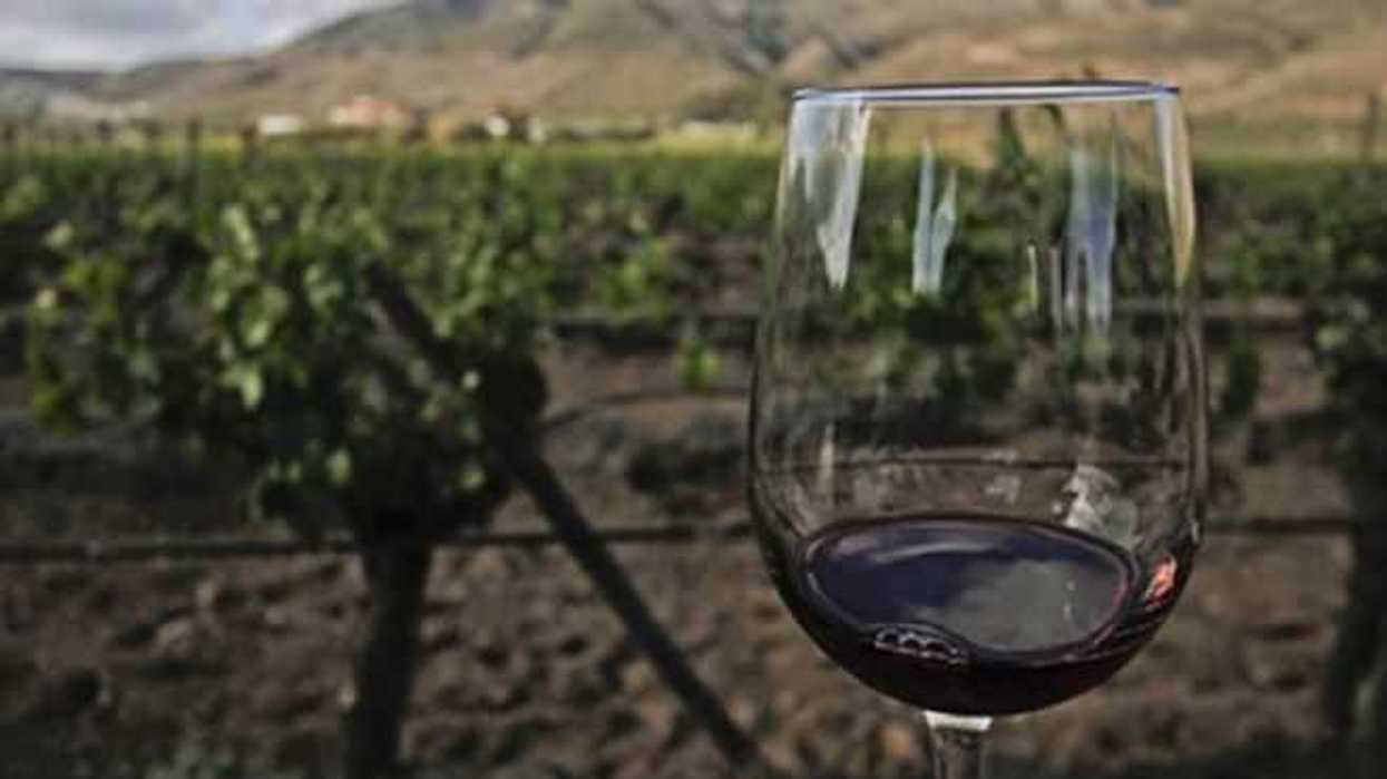 festival-del-vino-en-huerto-impulsara-consumo-esa-bebida