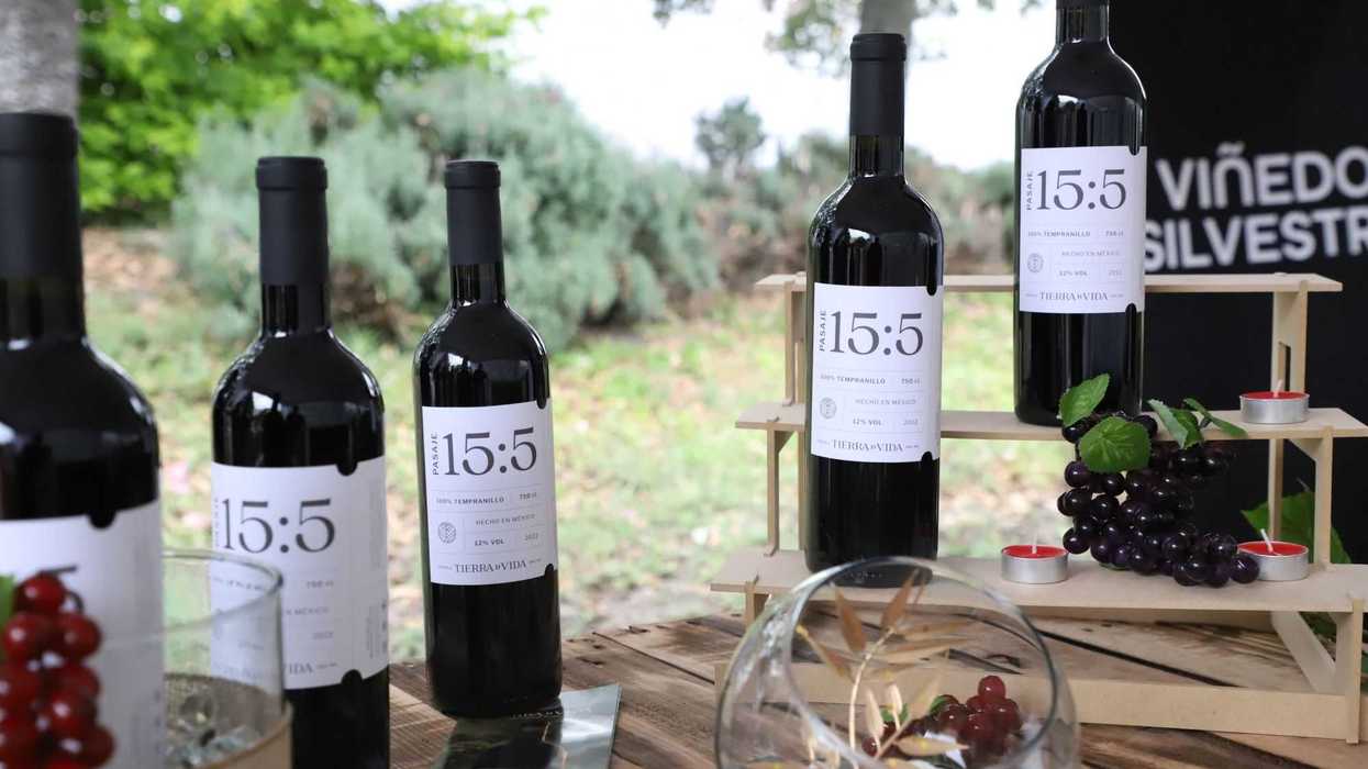 Festival del Vino Queretano celebra su tercera edición.