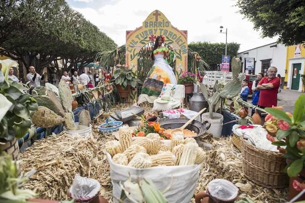 flor mas bella del campo en san juan del rio 1