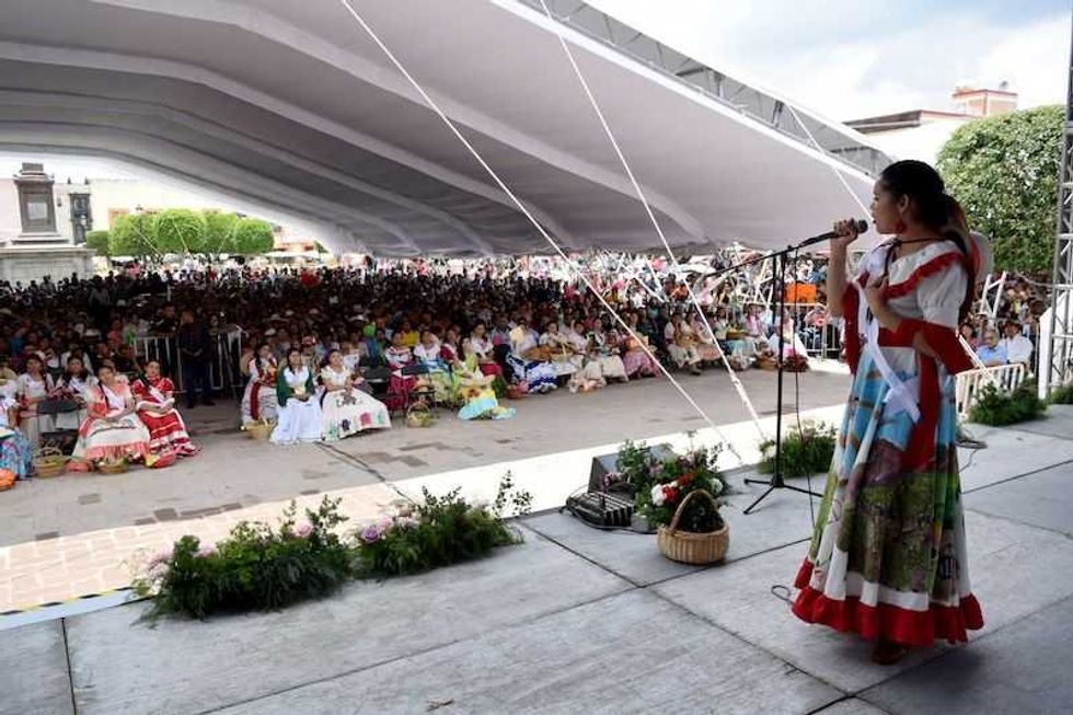 flor mas bella del campo en san juan del rio 3