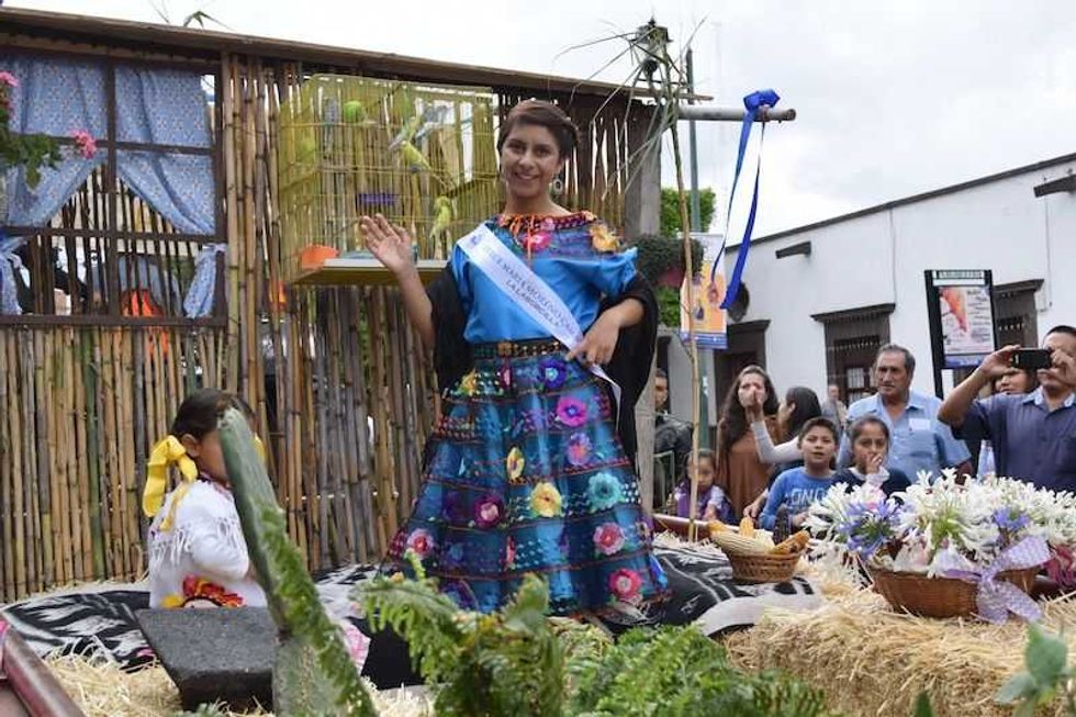 flor mas bella del campo en san juan del rio 4