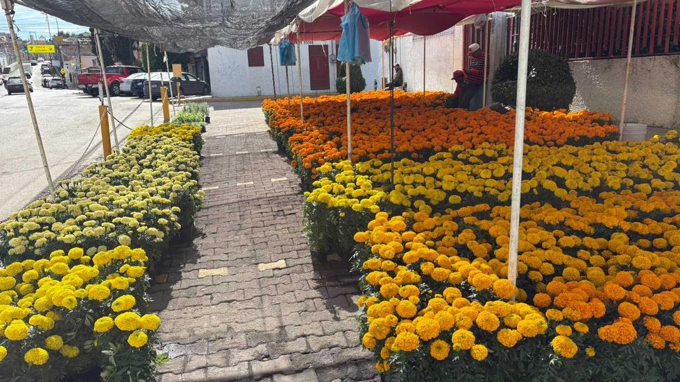 Flores de cempas\u00fachil en un puesto de temporada de San Juan del R\u00edo por D\u00eda de Muertos