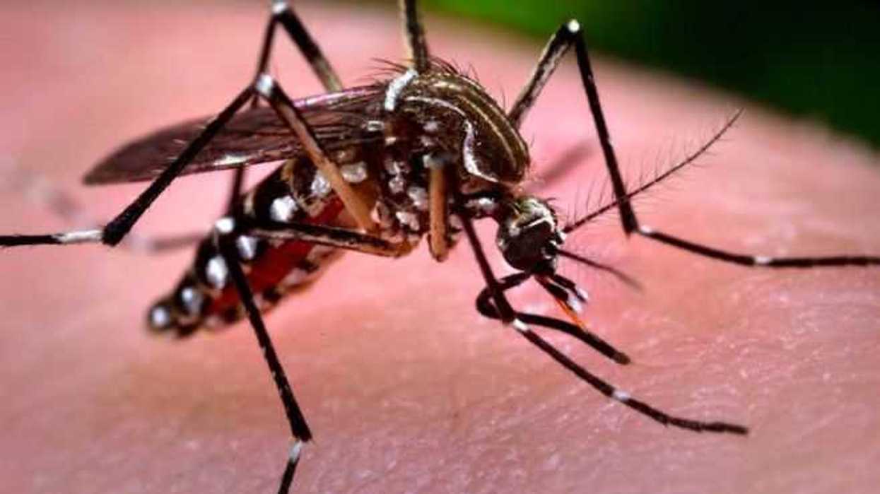 florida-termina-el-ano-con-93-personas-infectadas-con-el-virus-del-zika