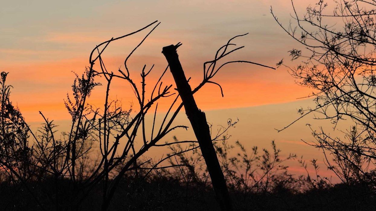 Frente frío 23 traerá temperaturas de hasta 0°C en Querétaro.