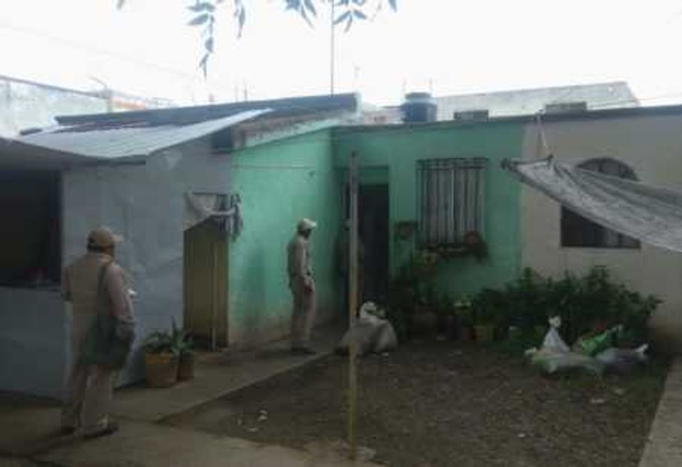 fumigacion inundacion 6