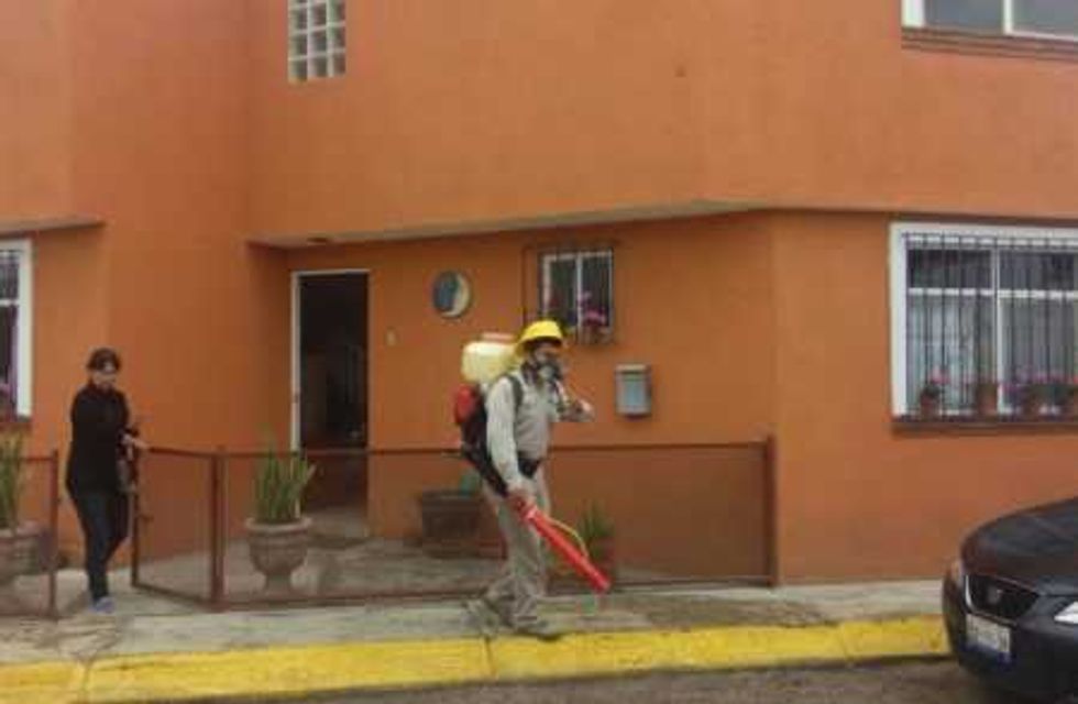 fumigacion inundacion 9