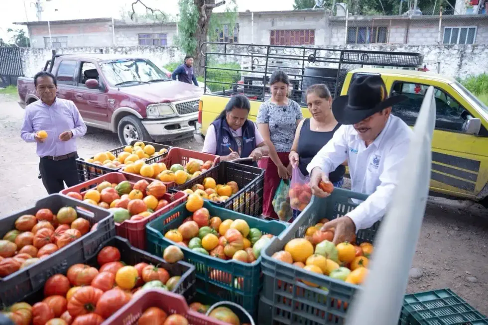 Funcionarios municipales distribuyen jitomate entre habitantes de Cerro Gordo, San Juan del R\u00edo.