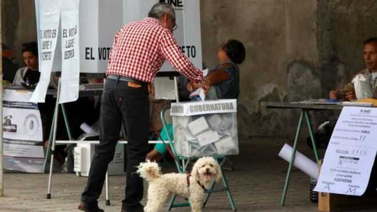 funciono-el-blindaje-electoral-asegura-bienestar