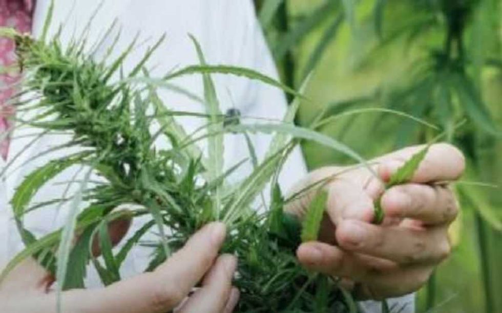 gael santiago el nino que le hace frente la epilepsia con cannabidol 1