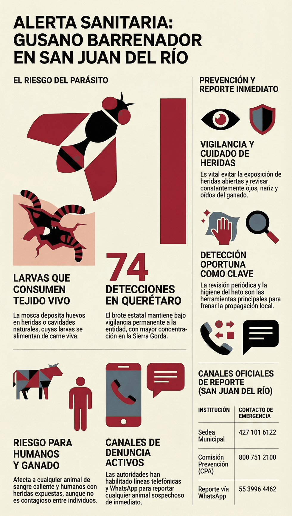 Ganado bovino bajo vigilancia sanitaria por caso de gusano barrenador en San Juan del R\u00edo Quer\u00e9taro