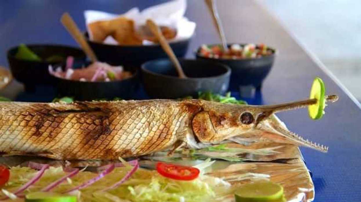 gastronomia-tabasquena