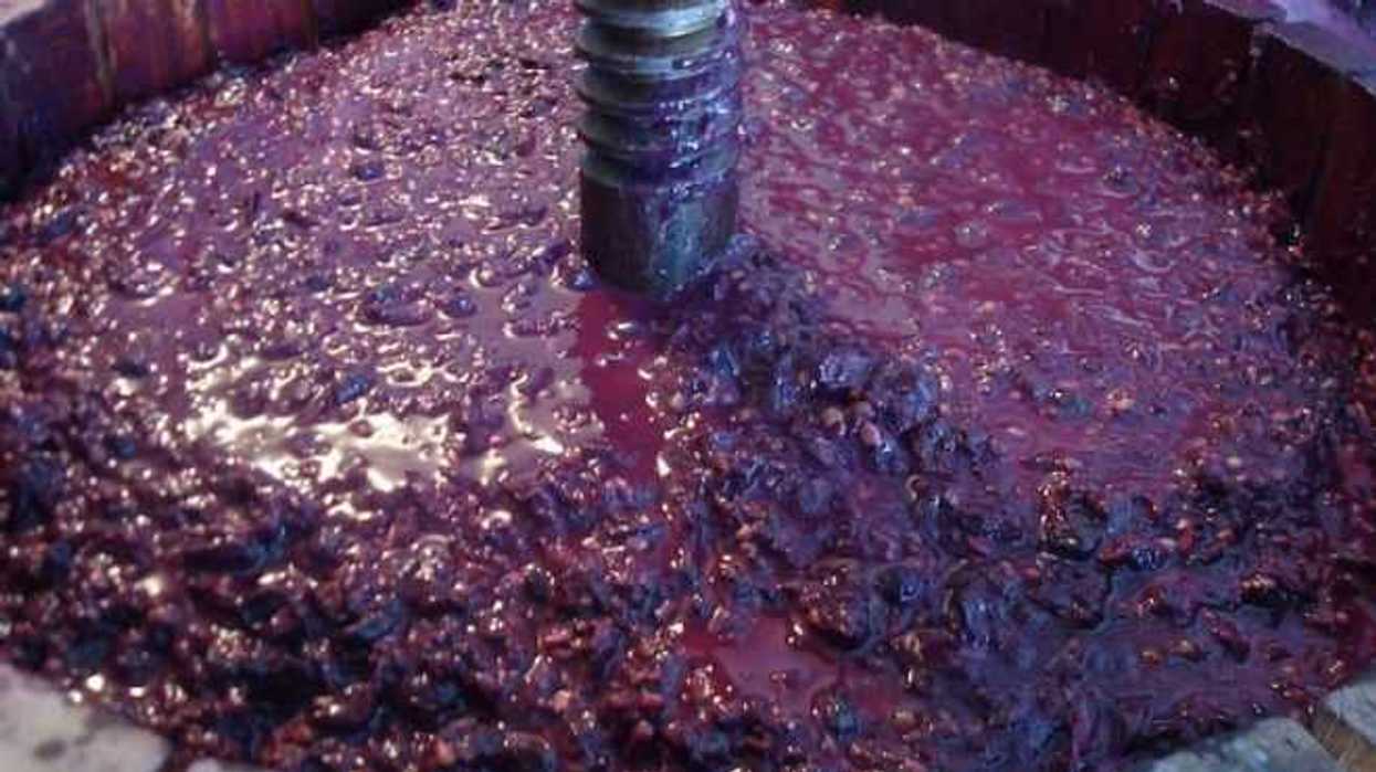 generan-biocombustible-a-partir-de-residuos-de-la-produccion-de-vino