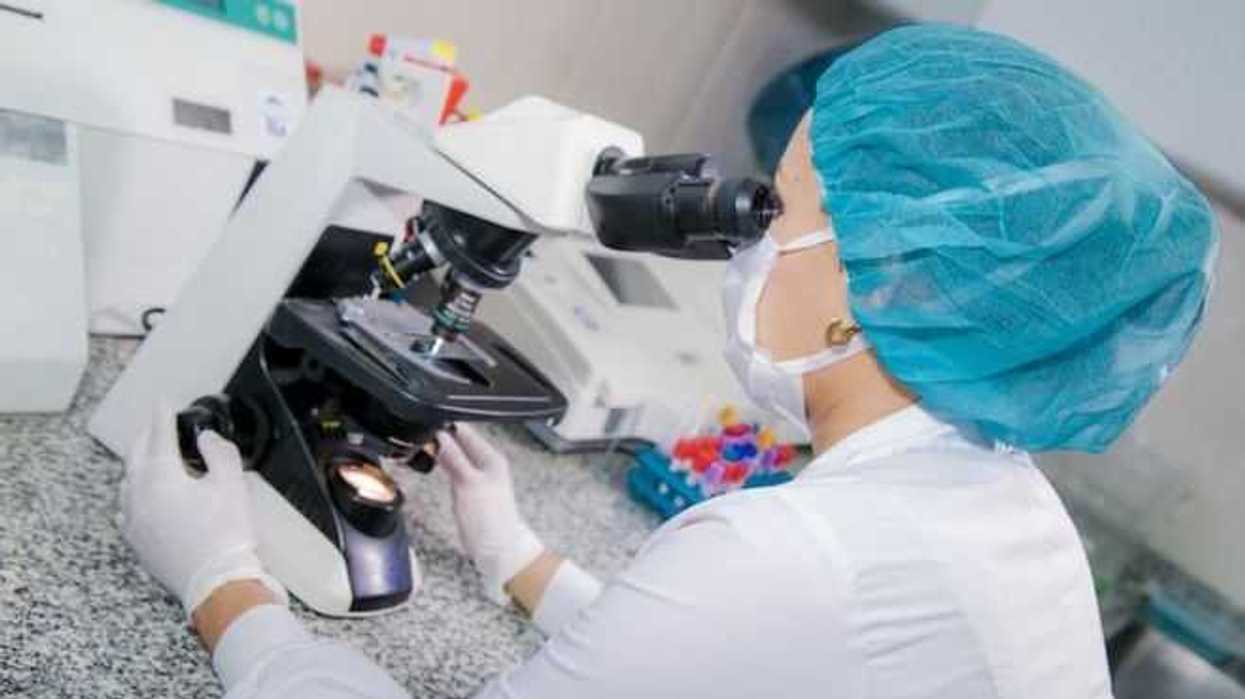 gk-1-la-molecula-mexicana-contra-el-cancer-de-mama-3