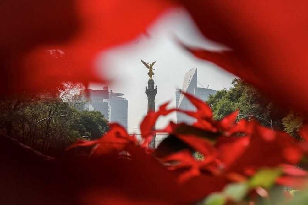 gobierno capitalino invita a visitar intervencion floral en el zocalo 1