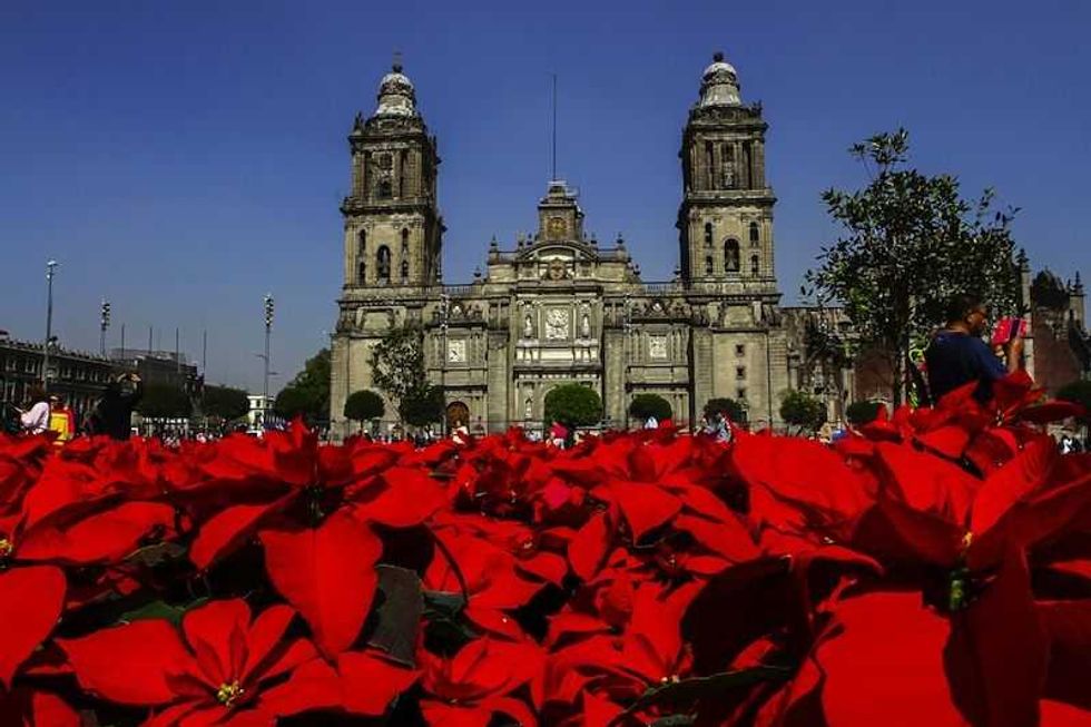 gobierno capitalino invita a visitar intervencion floral en el zocalo4