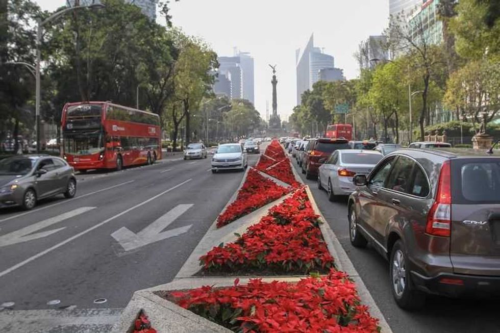 gobierno capitalino invita a visitar intervencion floral en el zocalo7