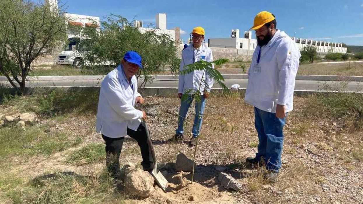 Gobierno de San Juan del Río y empresas realizan jornada de reforestación y limpieza.