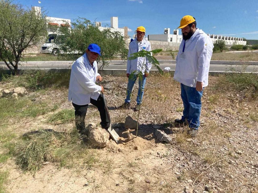 Gobierno de San Juan del Río y empresas realizan jornada de reforestación y limpieza.