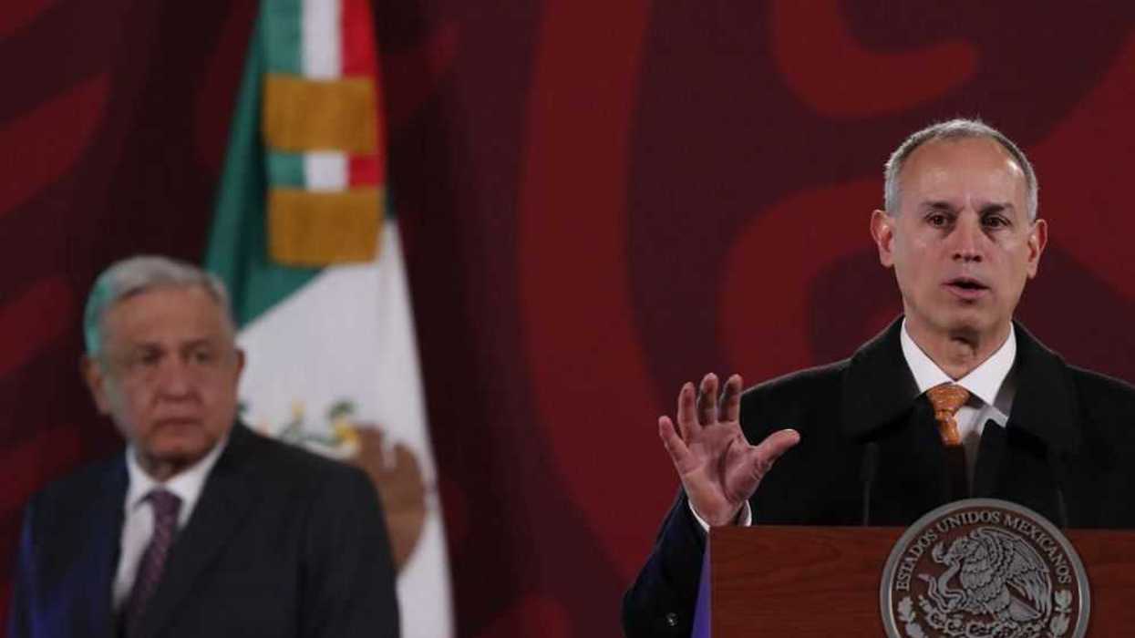 Gobierno mexicano confirma 4 casos de rabia pero descarta alerta sanitaria. EFE/ Mario Guzmán.