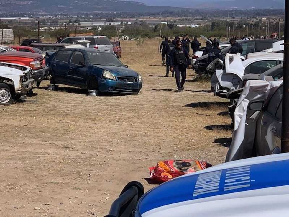 golpe a deshuesaderos de loma linda en san juan del rio 7