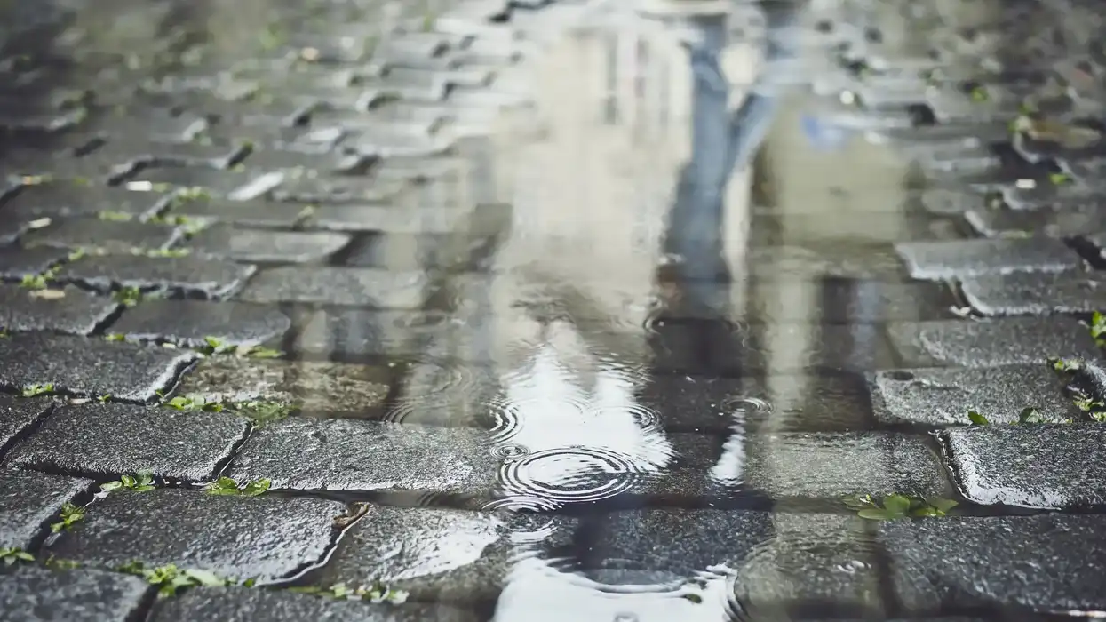 Gotas de lluvia caen sobre charcos en una calle empedrada