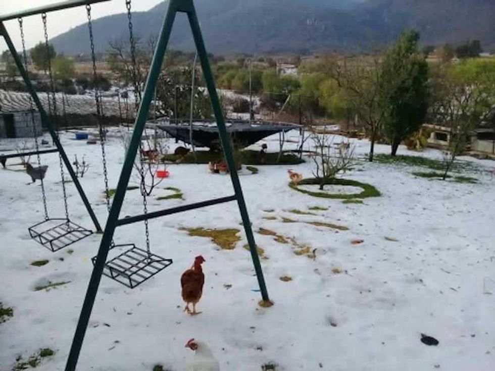 granizada el salitrillo humilpan 2