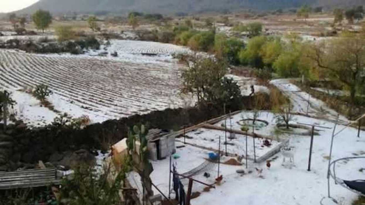 granizada-el-salitrillo-humilpan