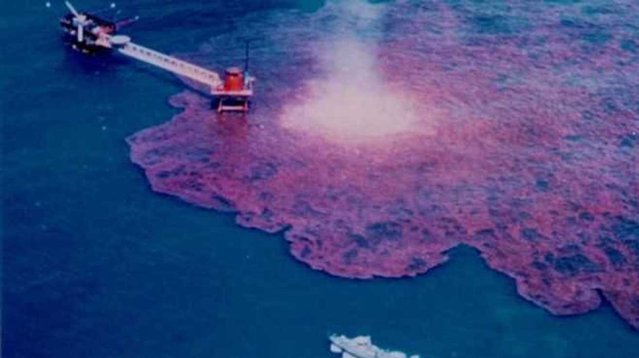 grupo-bacterias-limpiaran-residuos-hidrocarburos-en-golfo