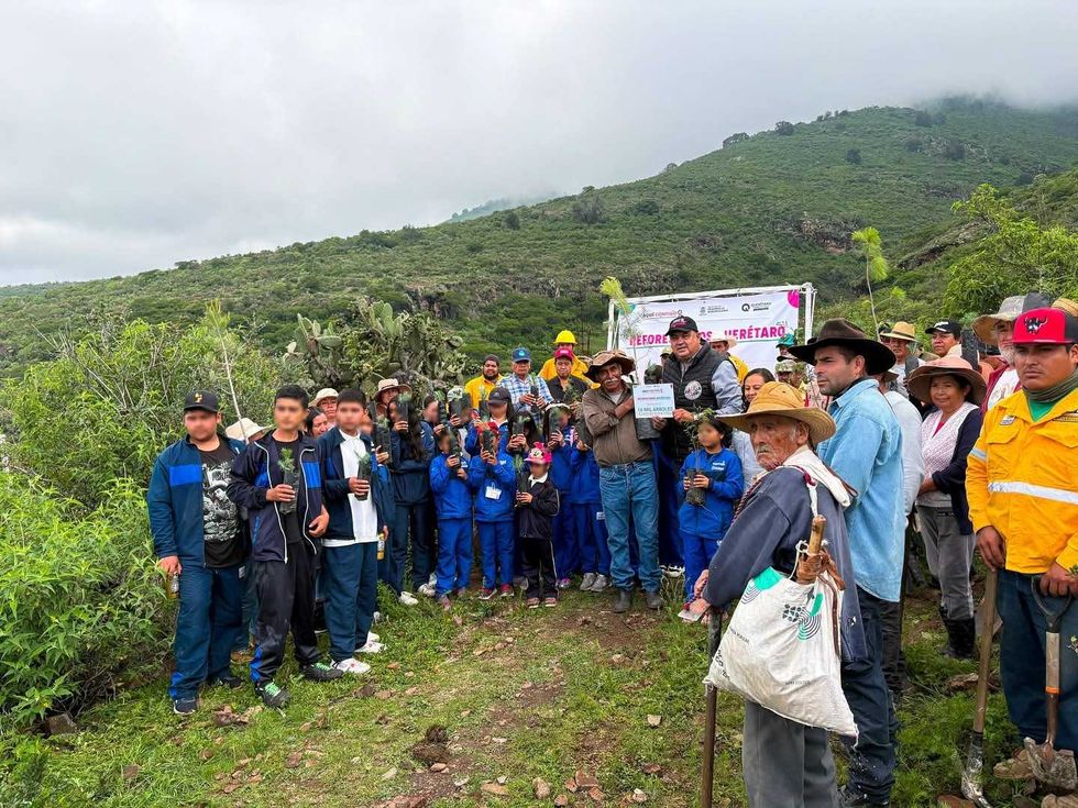 Grupo de habitantes sostiene \u00e1rboles j\u00f3venes frente a una ladera cubierta de vegetaci\u00f3n.