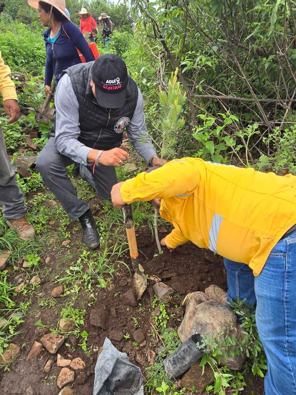Grupo de habitantes sostiene \u00e1rboles j\u00f3venes frente a una ladera cubierta de vegetaci\u00f3n.