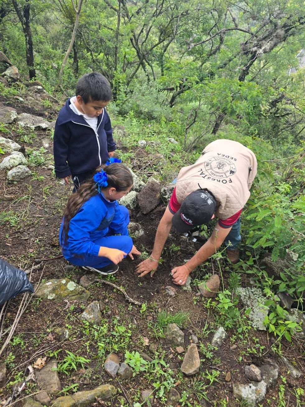 Grupo de habitantes sostiene \u00e1rboles j\u00f3venes frente a una ladera cubierta de vegetaci\u00f3n.