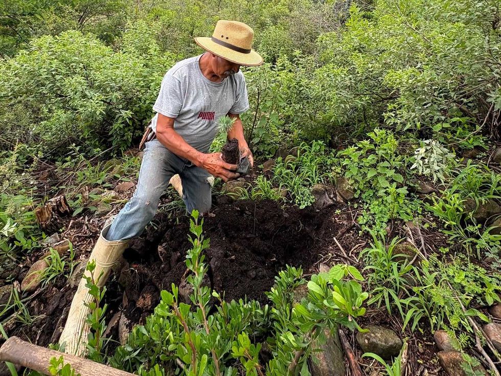 Grupo de habitantes sostiene \u00e1rboles j\u00f3venes frente a una ladera cubierta de vegetaci\u00f3n.