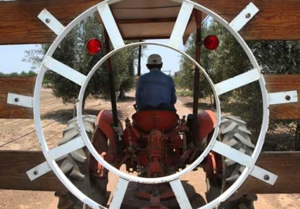 guanajuato retoma vocacion vitivinicola 1