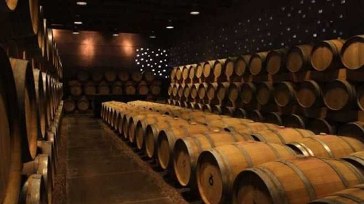 guanajuato-retoma-vocacion-vitivinicola-2