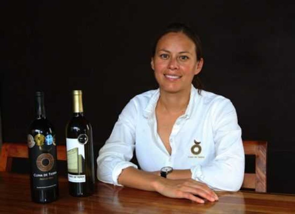 guanajuato retoma vocacion vitivinicola