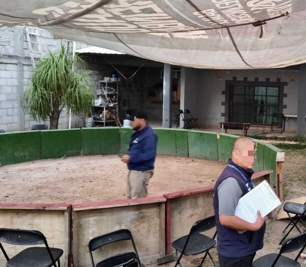 Guardia Municipal y Secretar\u00eda de Gobierno clausuran palenque clandestino en El Salitre, delegaci\u00f3n Epigmenio Gonz\u00e1lez, Quer\u00e9taro capital