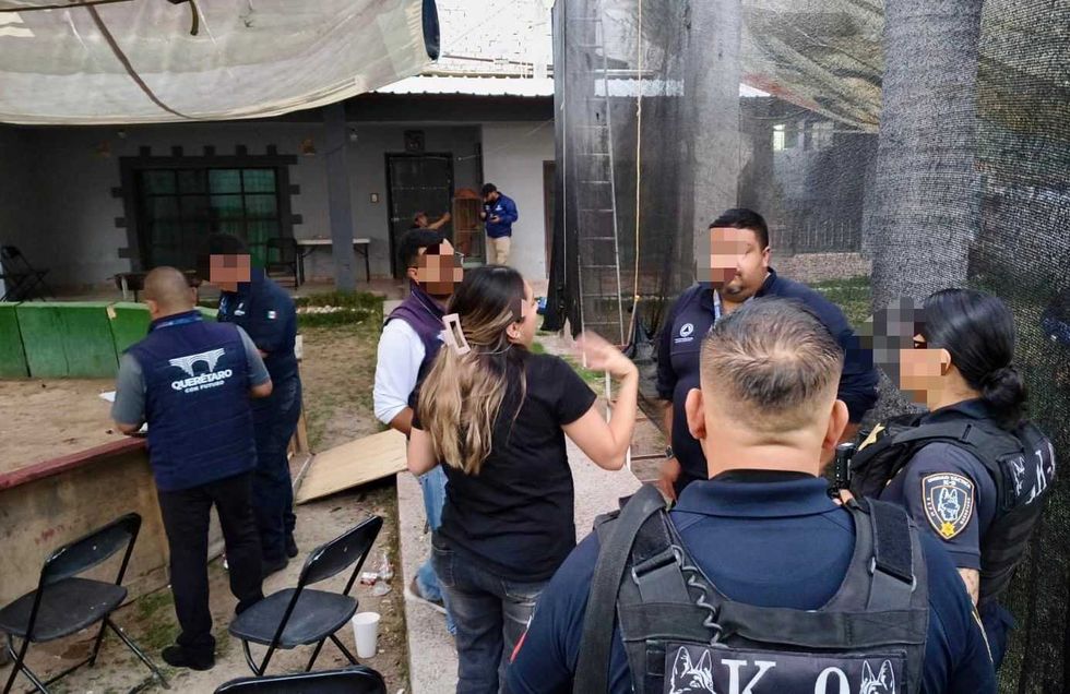 Guardia Municipal y Secretar\u00eda de Gobierno clausuran palenque clandestino en El Salitre, delegaci\u00f3n Epigmenio Gonz\u00e1lez, Quer\u00e9taro capital
