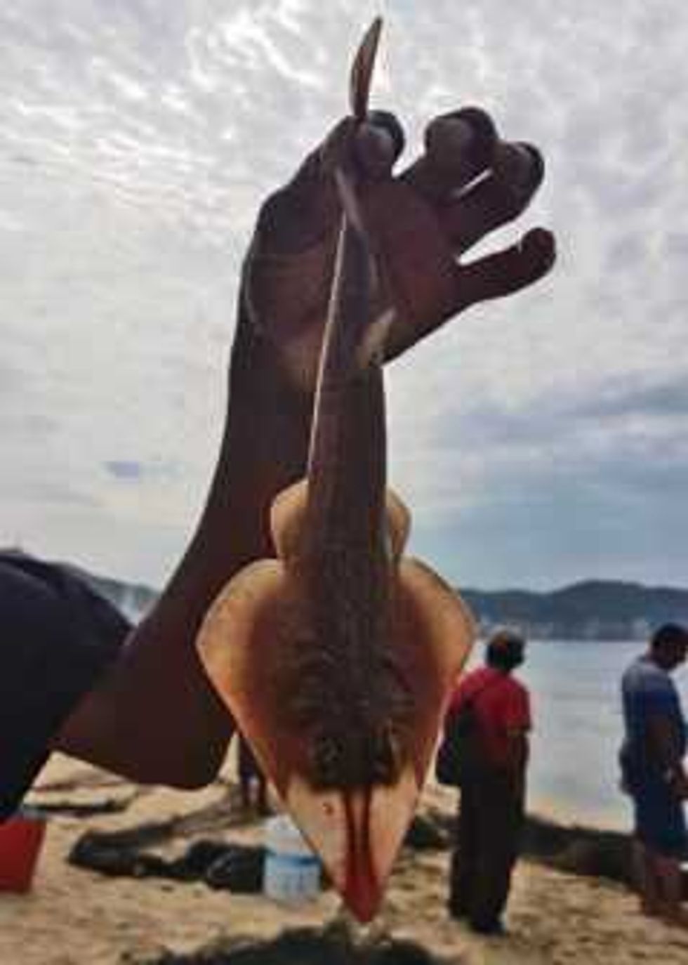 guerrero buscar convertir a pescadores en acuacultores 1