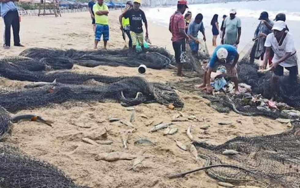 guerrero buscar convertir a pescadores en acuacultores 2